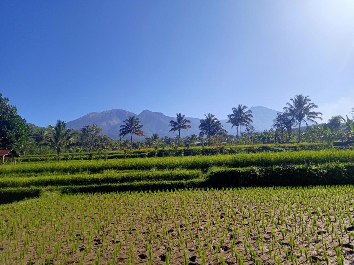 Tetebatu Sunrise Homestay Bagian luar foto