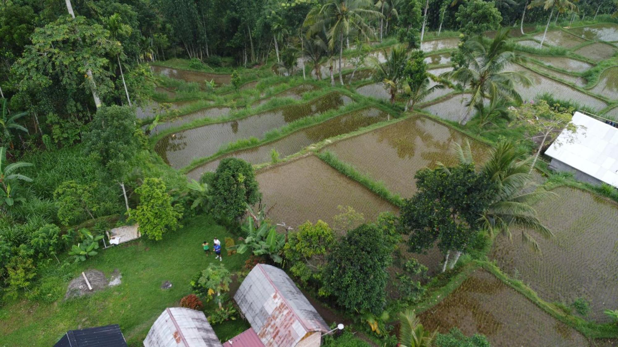 Tetebatu Sunrise Homestay Bagian luar foto
